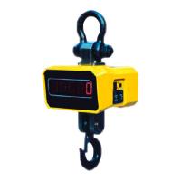 Весы крановые индикаторные ВКЕ-01-01 - фото